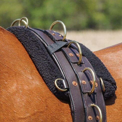 Dura-Tech Fleece Surcingle Horse Saddle Pad Conforming With Protection | لوحة ناعمة وسميكة مملوءة بالرغوة | مضمون مع خط هوك وحلقات الأشرطة | مثالي للتدريب in Kuwait
