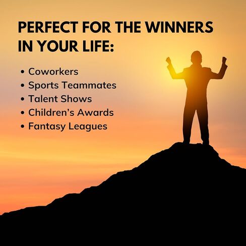 جائزة Rising Star Small Trophy لأكثرها تحسينًا | الجوائز المحفورة والجوائز | كأس مخصص مع النص | موظف الشهر الاعتراف | مكتب الفيل الأبيض in Saudi Arabia