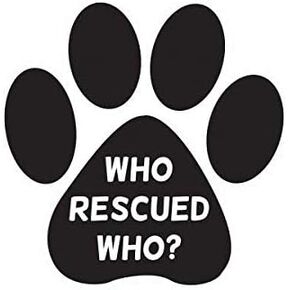 Who Rescued Who Paw Sticker Die Cut Decal Dog cat Animal Adopt Rescue 5" Bumper Locker Laptop Window - Sticks to Any Surface in Kuwait