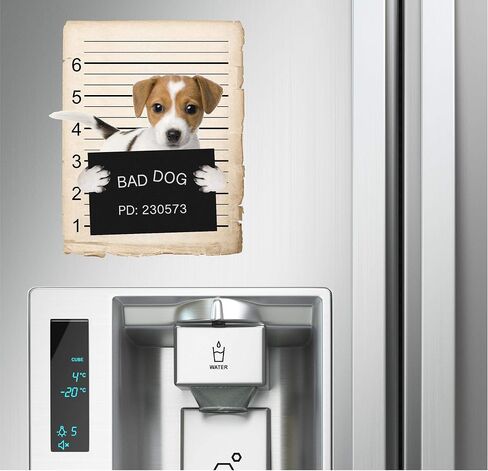French Bulldog Mugshot Bad Dog Car Bumper Magnet, Magnetic for Refrigerator, Decorative Fridge, Office, Whiteboard, Kitchen, Locker Waterproof Decor, Family & Friends, 4x7 in in Saudi Arabia