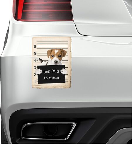 French Bulldog Mugshot Bad Dog Car Bumper Magnet, Magnetic for Refrigerator, Decorative Fridge, Office, Whiteboard, Kitchen, Locker Waterproof Decor, Family & Friends, 4x7 in in Saudi Arabia
