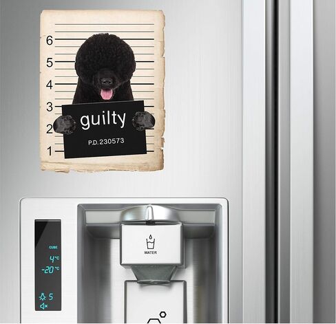 French Bulldog Mugshot Bad Dog Car Bumper Magnet, Magnetic for Refrigerator, Decorative Fridge, Office, Whiteboard, Kitchen, Locker Waterproof Decor, Family & Friends, 4x7 in in Saudi Arabia
