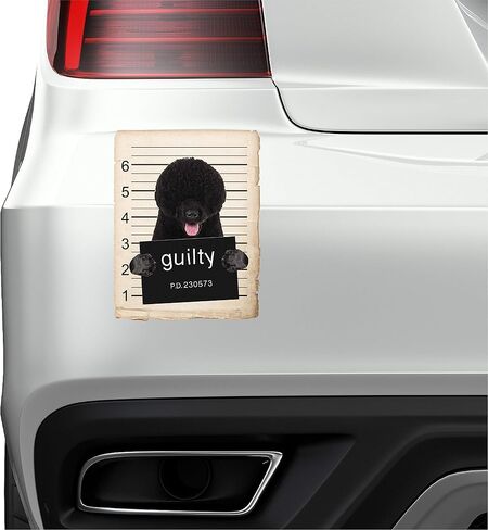 French Bulldog Mugshot Bad Dog Car Bumper Magnet, Magnetic for Refrigerator, Decorative Fridge, Office, Whiteboard, Kitchen, Locker Waterproof Decor, Family & Friends, 4x7 in in Saudi Arabia