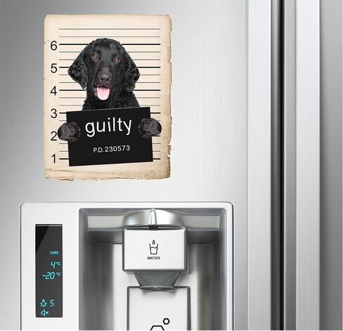 French Bulldog Mugshot Bad Dog Car Bumper Magnet, Magnetic for Refrigerator, Decorative Fridge, Office, Whiteboard, Kitchen, Locker Waterproof Decor, Family & Friends, 4x7 in in Saudi Arabia