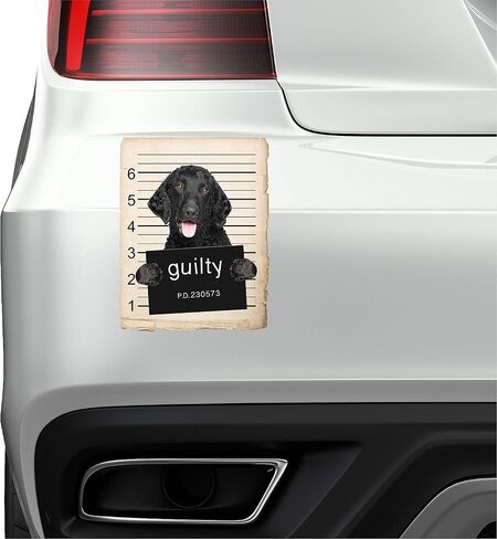 French Bulldog Mugshot Bad Dog Car Bumper Magnet, Magnetic for Refrigerator, Decorative Fridge, Office, Whiteboard, Kitchen, Locker Waterproof Decor, Family & Friends, 4x7 in in Saudi Arabia