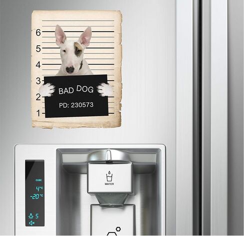 French Bulldog Mugshot Bad Dog Car Bumper Magnet, Magnetic for Refrigerator, Decorative Fridge, Office, Whiteboard, Kitchen, Locker Waterproof Decor, Family & Friends, 4x7 in in Saudi Arabia
