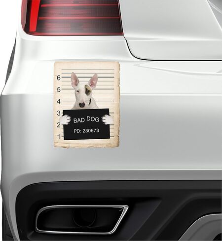 French Bulldog Mugshot Bad Dog Car Bumper Magnet, Magnetic for Refrigerator, Decorative Fridge, Office, Whiteboard, Kitchen, Locker Waterproof Decor, Family & Friends, 4x7 in in Saudi Arabia