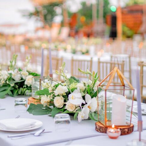 10pcs Floral Foam Trays for Flower Arrangement, Rectangle Floral Foam Holder, Plastic Mud Fixing Plates Flower Bowls for Centerpieces, Festival Wedding Party Decoration, 10.22x4.72x1.57in in Saudi Arabia