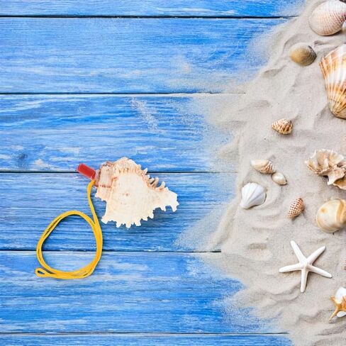 Vosarea Natural Conch Shell Horn Horning Shell Shell Toys for Boys and Girls Oberns Outdoor Events Decor in Saudi Arabia