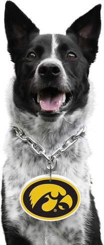 Littlearth NCAA pet chain in Saudi Arabia