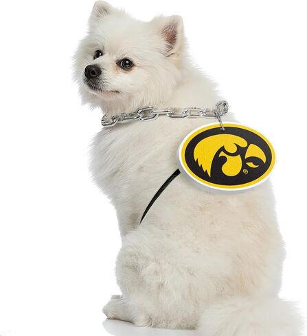 Littlearth NCAA pet chain in Saudi Arabia