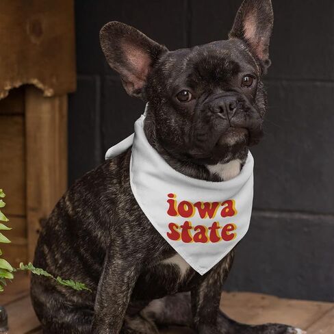 Iowa State Pet Bandana - America Dog Bandana - Americ Pet Pet - S - S in Kuwait