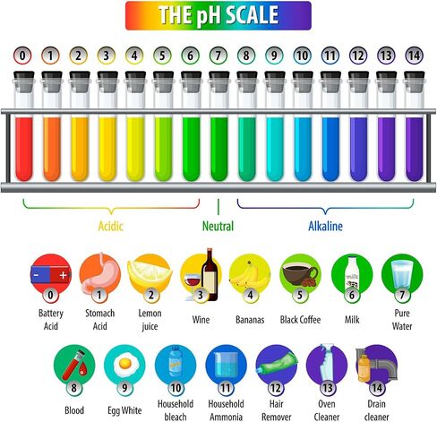 pH Test Strips with Test Pipette Droppers and 1 Storage Case Full Range 1-14 Universal pH Test Litmus Paper pH Strips Water pH Tester pH Paper Test Strips for Wine Saliva Urine Soil (3 Pack) in Saudi Arabia