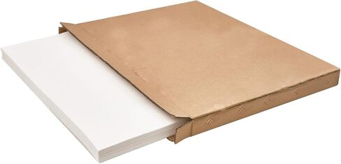 Vevor Fryer Filter Paper 100 pack ، ورقة مرشح الزيت 25.7 "× 16.9" ، مناسبة لوحدات ترشيح مقلاة متنقلة 55L-58L ، مثالية للمطاعم ، منافذ الوجبات السريعة ، ومقعورات المهرجانات in Kuwait