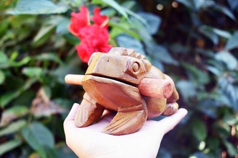 الضفدع Guiro Wood Block Musical Musical Musical Musical Size Perform Natural Wood Güiro Frog. (5.5 بوصات -4.0 سم.) in Kuwait