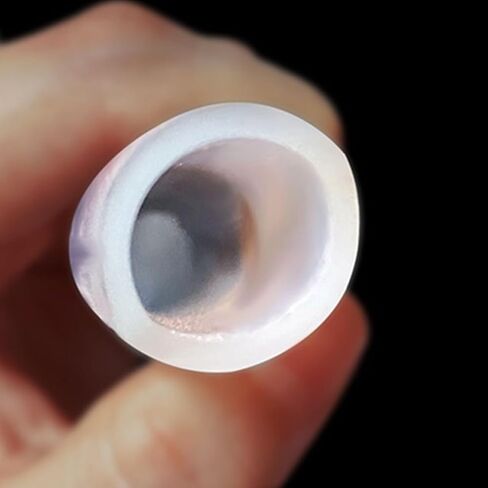 1M Silicone Tube, Beer Pipe Milk Hose Translucent Pipe Soft Rubber Flexible Tube(ID 16xOD 21mm 1M) in Kuwait