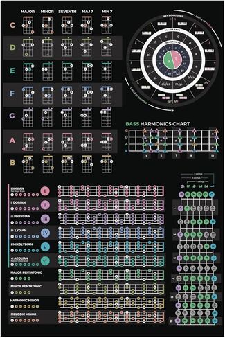 نظرية غش الجيتار العامة ، ورقة الغش ، تعلم العزف على نظرية موسيقى الجهير للاعبين الجيتار هدايا غش غش في الجيتار لنظرية موسيقى الجيتار الجيتار للمبتدئين ، الأسود ، in Kuwait