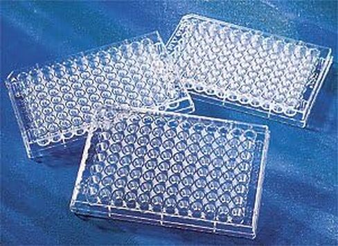 Corning 3879 Polypropylene 96 صفيحة صافية واضحة مع درجة الزاوية (حزمة 50) in Saudi Arabia