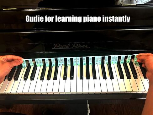 Piano Notes Guide for Beginner-88 Key Full Size Removable Silicone Piano Keyboard Notes Labels for Learning, Made of Silicone Piano Notes Strip for Learning Piano, No Need Stickers, Reusable（Green) in Saudi Arabia