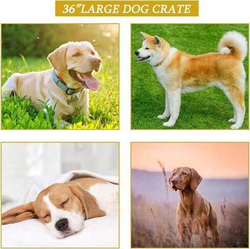 Large Dog Crate Dog Cage Medium Dog Kennel Animal Pet Crate Pet Cage Metal Wire Double Door Folding Fully Equipped Outdoor Indoor with Plastic Tray and Handle (36") in Saudi Arabia