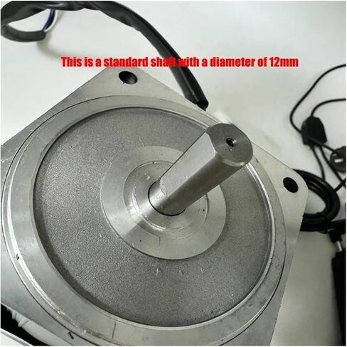 asynchronous motor 220V AC Optical Shaft Motor With Speed RegulatorShaft Diameter 11mm 12mm 14mm Asynchronous 300W Motor(Shaft diameter 11mm) in Saudi Arabia