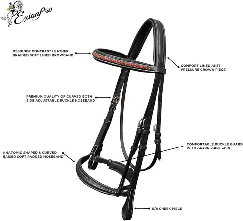 Exion Dressage Bridle for Horse– Padded Anti‑Pressure Crownpiece, Crank Noseband, Braided Browband & Web Reins– Premium Leather Dressage Bridle for Show, Training in Saudi Arabia