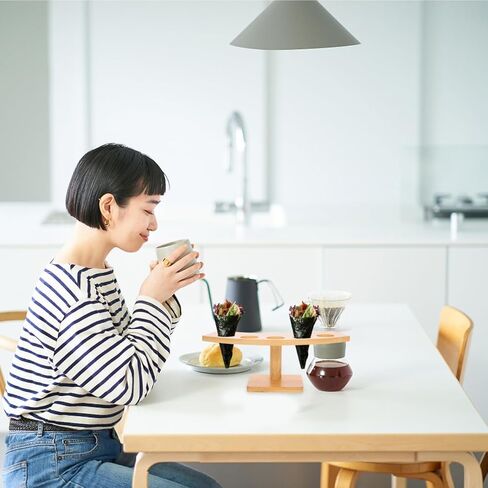 حامل مخروط الآيس كريم حامل للوشي رف شاشة متين للمطاعم والحفلات بسلاسة لإنهاء خمسة لسهولة الوصول in Kuwait