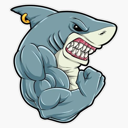 Shark At The Gym - Training Fitness Muscles Shark Sticker Bumper Sticker Vinyl Decal 5" in Saudi Arabia