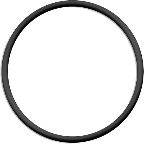 مرشح CX900F استبدال حلقة O-Ring متوافق مع سلسلة مرشح Hayward Star-Clear Plus وخزان الفصل (1/Pack) in Kuwait
