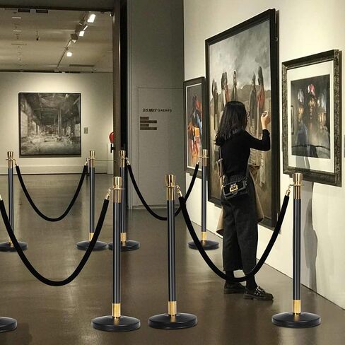 Goplus 6pcs Stanchion Set, Crowd Control Barrier Stainless Steel Stanchion Posts Queue Pole with 5Ft Velvet Rope, Suitable for Theaters, Party, Wedding Exhibition Centers, Ticket Offices (Black) in Saudi Arabia
