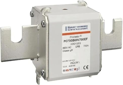 PC73GB69V550EF PC73GB69V630EF G301352 PC73GB69V700EF H301353 PC73GB69V800EF PC73GB69V900EF PC73GB69V1000 FUSE 1 SIPE (PC73GB69V900EF) in Saudi Arabia