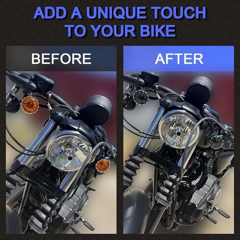 Turn Signal Lens Kit,Front/Rear Bullet Turn Signal Light Replacement Lenses Covers for Harley Sportster 883 1200/Touring Road King Electra Glide Street Glide/Softail/Dyna/V-Rod,Red,2 PCS in Saudi Arabia