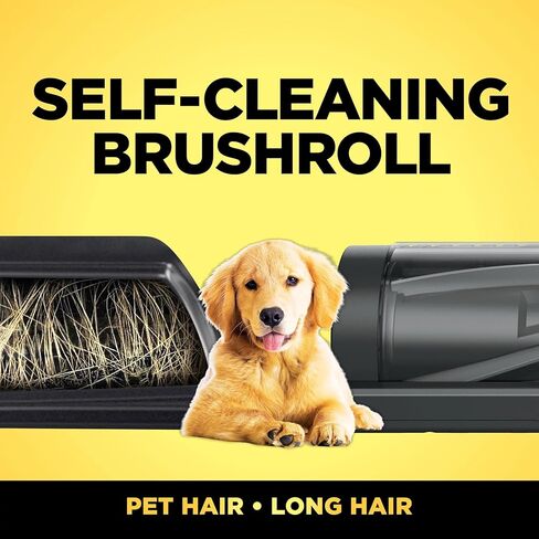 Shark WZ250 Pet Pro Cordless Stick Vacuum مع Powerfins Brushroll ، سعة XL ، فرشاة التنظيف الذاتي ، المصابيح الأمامية LED ، وقت تشغيل 40 دقيقة ، مثالي للحيوانات الأليفة ، الأزرق (متجدد) in Saudi Arabia