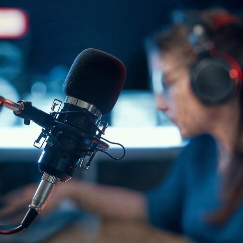 غطاء ميكروفون 2pcs ، الزجاج الأمامي للميكروفون الرغوي ، غطاء الميكروفون الأسود للميكروفونات المحمولة باليد ، المكثف وجميع الميكروفونات من نوع الكرة in Kuwait