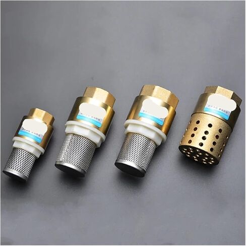 1 قطعة 1/2 "3/4" 1 "2" BSPP الخيط الداخلي نحاس صمام فحص صمام فحص الصمام مع مرشح الصلب DN15 DN25 DN40 لمضخة المياه (1 شبكة الصلب) in Kuwait