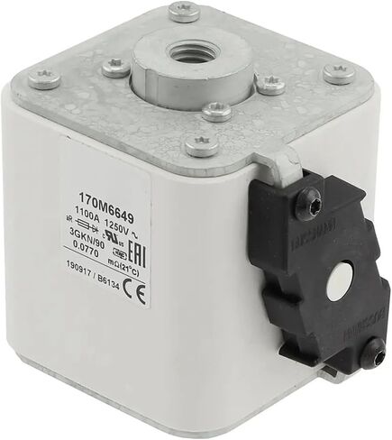 170M6644 170M6645 170M6646 170M6647 170M6648 170M6649 170M6650 170M6651 FUSE (170M6650) in Saudi Arabia