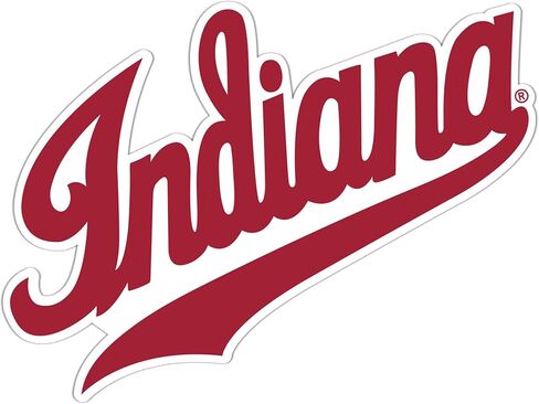 Desert Cactus Indiana University Bloomington Hoosiers Vinyl Secal Lacal Laptop Water Bottle Scrapbook Sticker (Ind 8) in Saudi Arabia