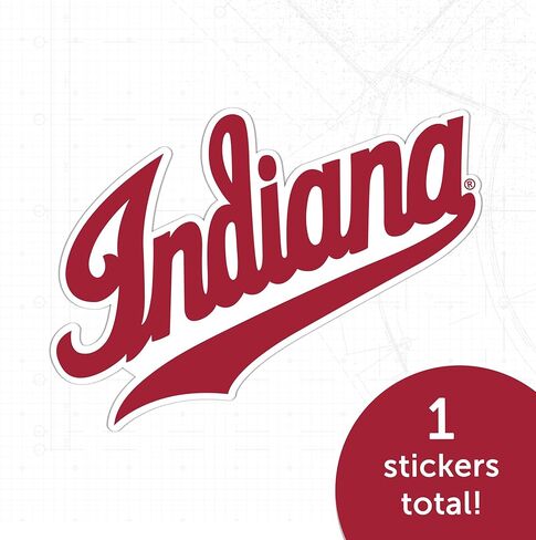Desert Cactus Indiana University Bloomington Hoosiers Vinyl Secal Lacal Laptop Water Bottle Scrapbook Sticker (Ind 8) in Saudi Arabia