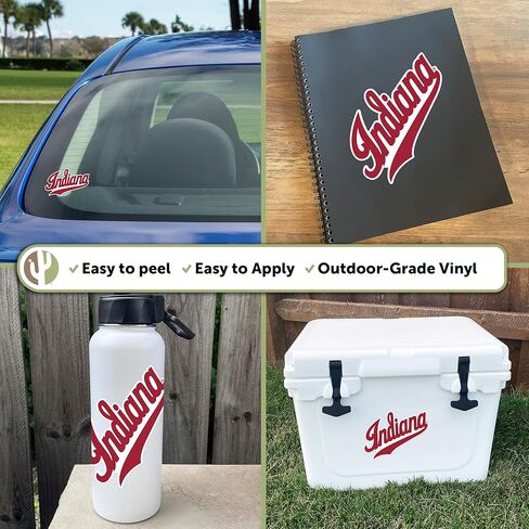 Desert Cactus Indiana University Bloomington Hoosiers Vinyl Secal Lacal Laptop Water Bottle Scrapbook Sticker (Ind 8) in Saudi Arabia