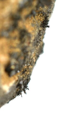 EISCO Lodestone Specimen, Approx. 1" (3cm) in Saudi Arabia