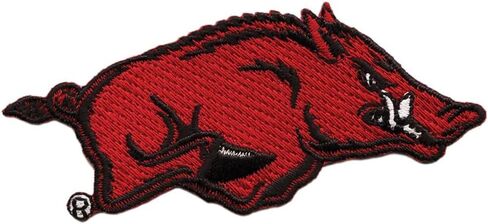 Tervis Arkansas Razorbacks - متنوع مصنوع في الولايات المتحدة الأمريكية كوب سفر معزول مع عزل معزول. in Saudi Arabia