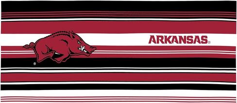 Tervis Arkansas Razorbacks - متنوع مصنوع في الولايات المتحدة الأمريكية كوب سفر معزول مع عزل معزول. in Saudi Arabia