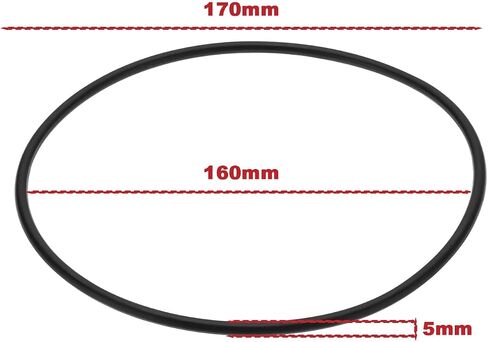SING F LTD 2pcs Fish Tank Motor Top Cover Filter Rubber O-Ring Sealing Gasket Outer Diameter 170mm Thickness 5mm A20038 Compatible with Fluval 104 105 204 205 106 206 in Saudi Arabia