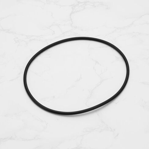 SING F LTD 2pcs Fish Tank Motor Top Cover Filter Rubber O-Ring Sealing Gasket Outer Diameter 170mm Thickness 5mm A20038 Compatible with Fluval 104 105 204 205 106 206 in Saudi Arabia