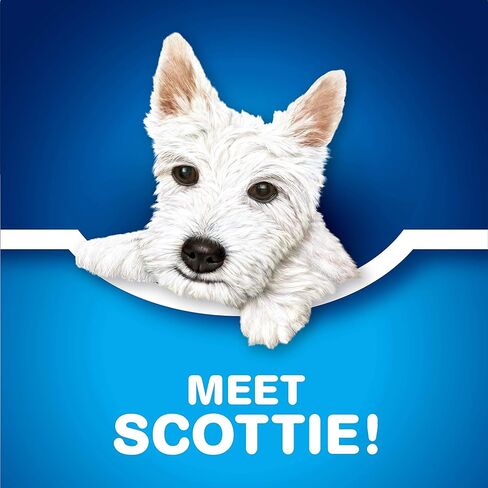 Scotties Original Facial Sissite ، Hypoallergenic وأخصائي الأمراض الجلدية المعتمدة ، 2 صناديق ، 9 صناديق ، 126 أنسجة لكل صندوق in Kuwait