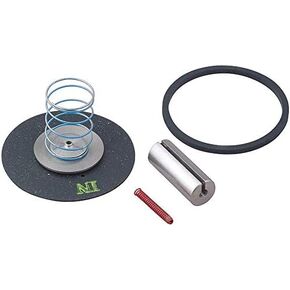 Dayton Valve Rebuild Kit, for Use with 1A579 in Kuwait