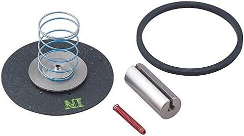 Dayton Valve Rebuild Kit ، للاستخدام مع 1A579 in Saudi Arabia