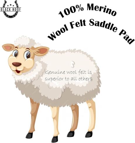 BLACK HOOF Blackhoof Steam Pressed Merino Wool Felt Contoured Pad (31" Length and 32" Width), Saddle pad for Horses in Saudi Arabia