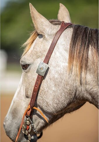 NRS الحصري Decatur Rose Slit Ear headstall n/a n/a in Kuwait