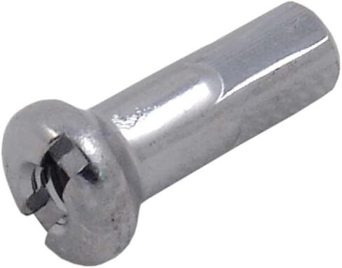 DT SWISS SWISS SWISLE BICYCLE WELLE حلمات - فضية - 14G/16MM - حزمة من 100 - N0AA20160 Silver in Saudi Arabia